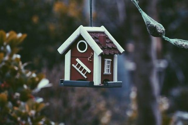 Décryptage des tendances actuelles : Vers quelle direction évoluent les prix immobiliers ?
